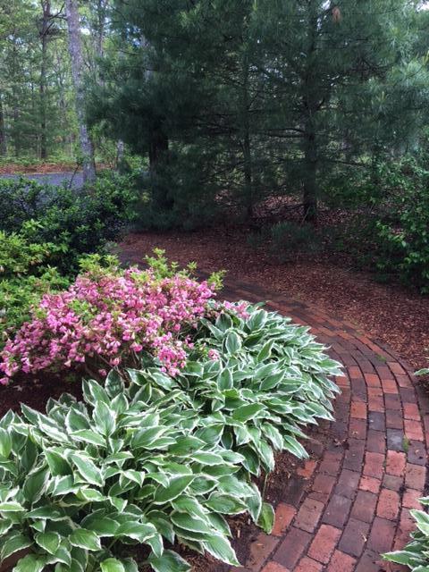 77 Shellback Way #L77, Mashpee, MA 02649 photo 3