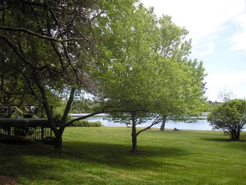 140 Willimantic Dr, Marstons Mills, MA 02648 photo 20
