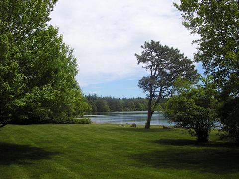 140 Willimantic Dr, Marstons Mills, MA 02648 photo 22