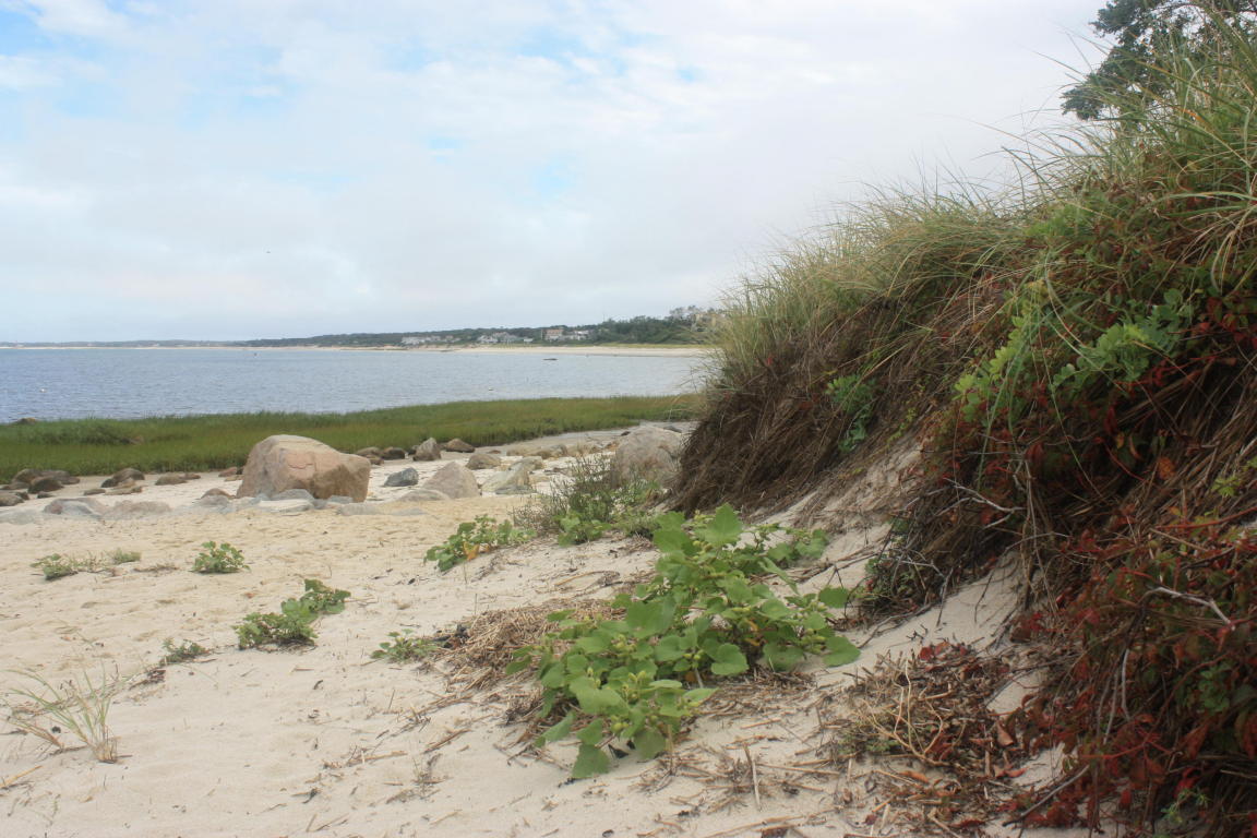 701 Great Fields Rd, Brewster, MA 02631 photo 24