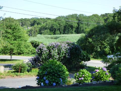 91 Joan Rd, Centerville, MA 02632 photo 4