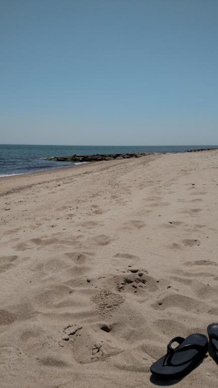 93 Bluff Ave, Mashpee, MA 02649 photo 6