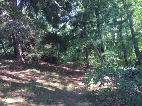 779 Bumps River Rd, Centerville, MA 02632 photo 9