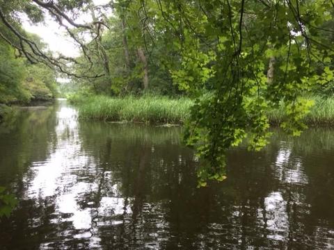 779 Bumps River Rd, Centerville, MA 02632 photo 3