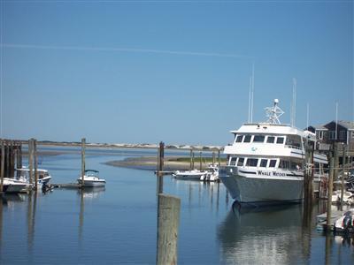 25 Harbor View Rd, Barnstable, MA 02630 photo 33