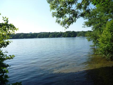 74 Nyes Neck Rd, Centerville, MA 02632 photo 19
