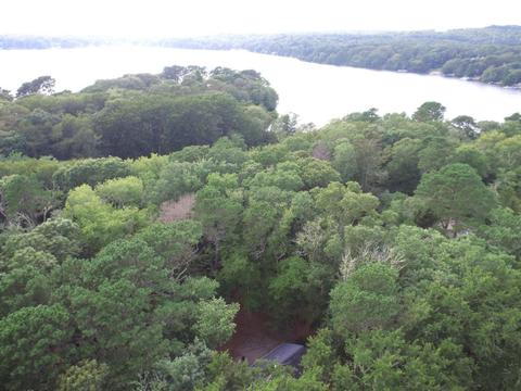 74 Nyes Neck Rd, Centerville, MA 02632 photo 24