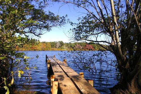 1090 Samoset Rd, Eastham, MA 02642 photo 5