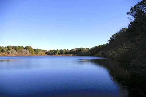 1090 Samoset Rd, Eastham, MA 02642 photo 7