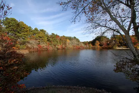 31 Surrey Pl, Mashpee, MA 02649 photo 1