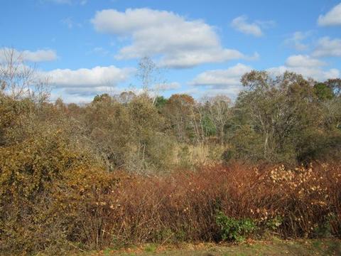 425 Main St #G, Wareham, MA 02571 photo 29