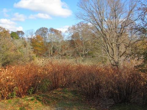 425 Main St #G, Wareham, MA 02571 photo 26