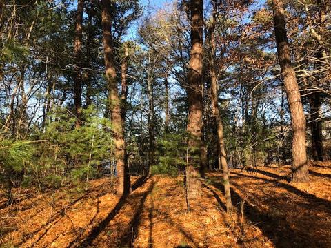 3 Mill Pond Cir, Cataumet, MA 02534 photo 2