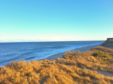 15 Ring Rd, Wellfleet, MA 02667 photo 19