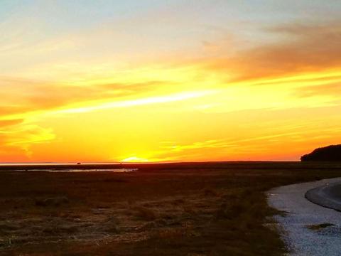 15 Ring Rd, Wellfleet, MA 02667 photo 1