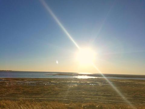 15 Ring Rd, Wellfleet, MA 02667 photo 20