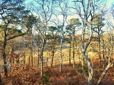 15 Ring Rd, Wellfleet, MA 02667 photo 15