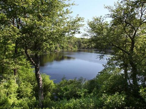 89 Pine Ln, Osterville, MA 02655 photo 11
