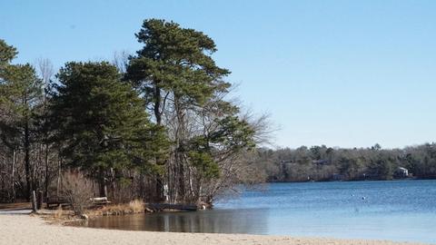 45 Pinecrest Ave, Mashpee, MA 02649 photo 29