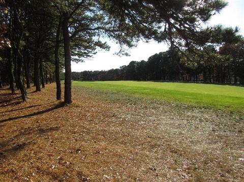 143 Pineleigh Path, Osterville, MA 02655 photo 23