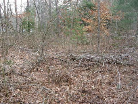 25 Ocean Ave, Bourne, MA 02532 photo 4