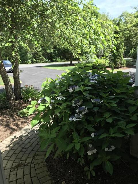 62 Pine Hill Blvd, Mashpee, MA 02649 photo 32