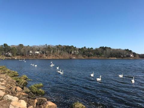 10 Riverview Ave #A, Mashpee, MA 02649 photo 2