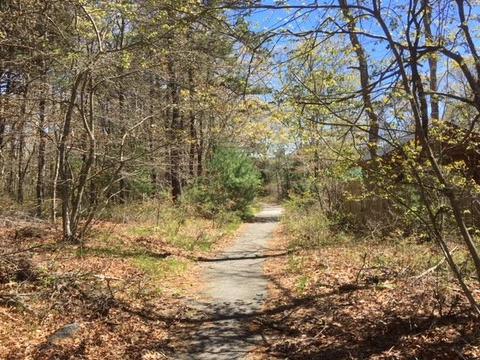 175 Acorn Dr, Osterville, MA 02655 photo 9