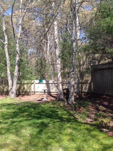 175 Acorn Dr, Osterville, MA 02655 photo 12
