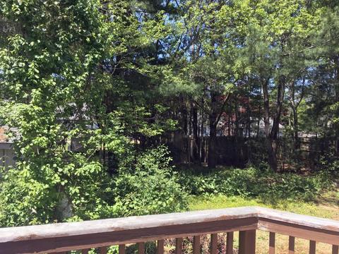88 Cedric Rd, Centerville, MA 02632 photo 17