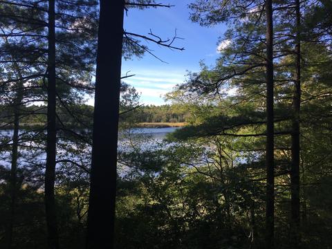 144 Hathaway St, Wareham, MA 02571 photo 5
