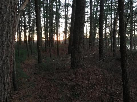 144 Hathaway St, Wareham, MA 02571 photo 4