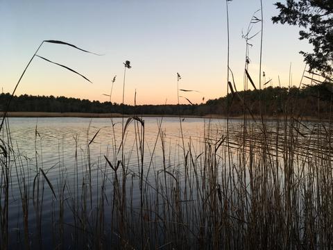144 Hathaway St, Wareham, MA 02571 photo 3