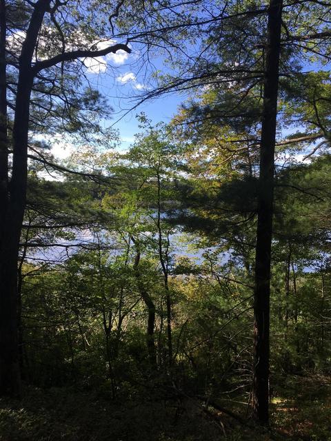 144 Hathaway St, Wareham, MA 02571 photo 6
