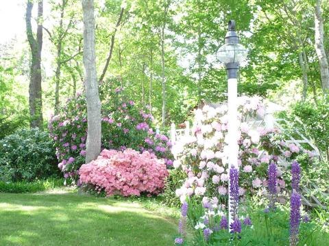 2 Arrowood Dr, Eastham, MA 02642 photo 11