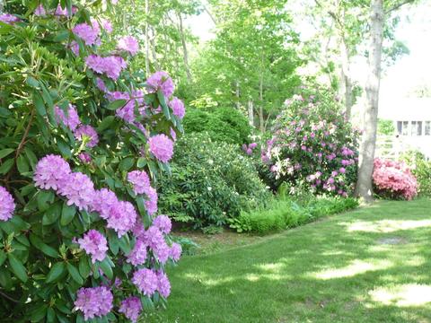 2 Arrowood Dr, Eastham, MA 02642 photo 30