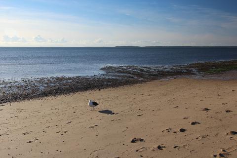 25 Viola Rd, Eastham, MA 02642 photo 22