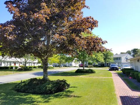 174 Lowell Rd, Mashpee, MA 02649 photo 5