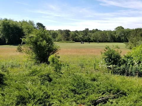 174 Lowell Rd, Mashpee, MA 02649 photo 20