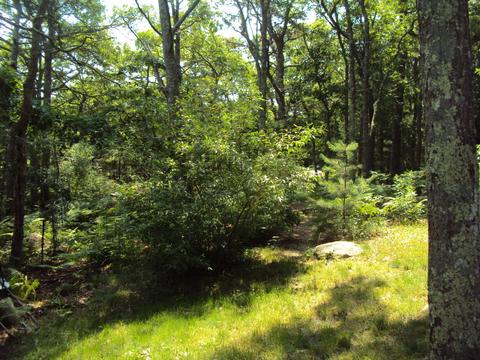 14 Westerly Dr, Monument Beach, MA 02553 photo 19