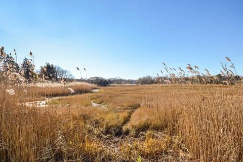 45 Freezer Rd, Barnstable, MA 02630 photo 21