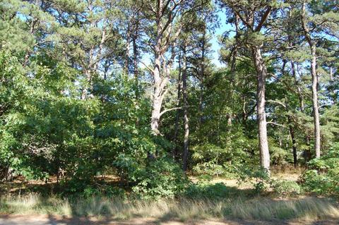 75 Tern Ln, Eastham, MA 02642 photo 1