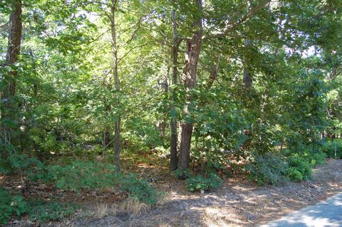 75 Tern Ln, Eastham, MA 02642 photo 6
