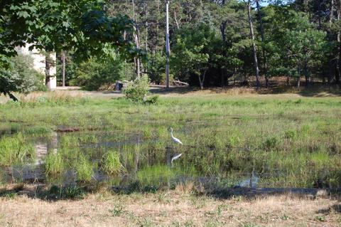 75 Tern Ln, Eastham, MA 02642 photo 8