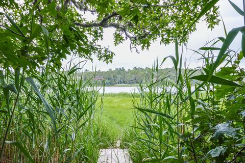 11 Ash St, Mashpee, MA 02649 photo 7
