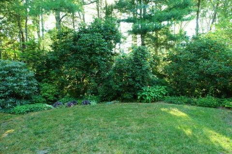 10 Cotuit Bay Dr, Cotuit, MA 02635 photo 22