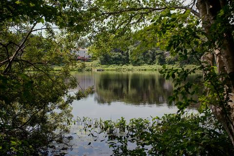 167 Ralyn Rd, Cotuit, MA 02635 photo 32