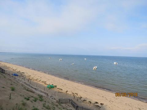 55 Sand Dollar Ln, Eastham, MA 02642 photo 17
