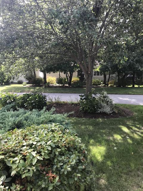 2 Upland Cir, Mashpee, MA 02649 photo 31