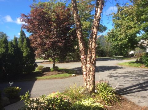5 Atlantic Ct, Mashpee, MA 02649 photo 32